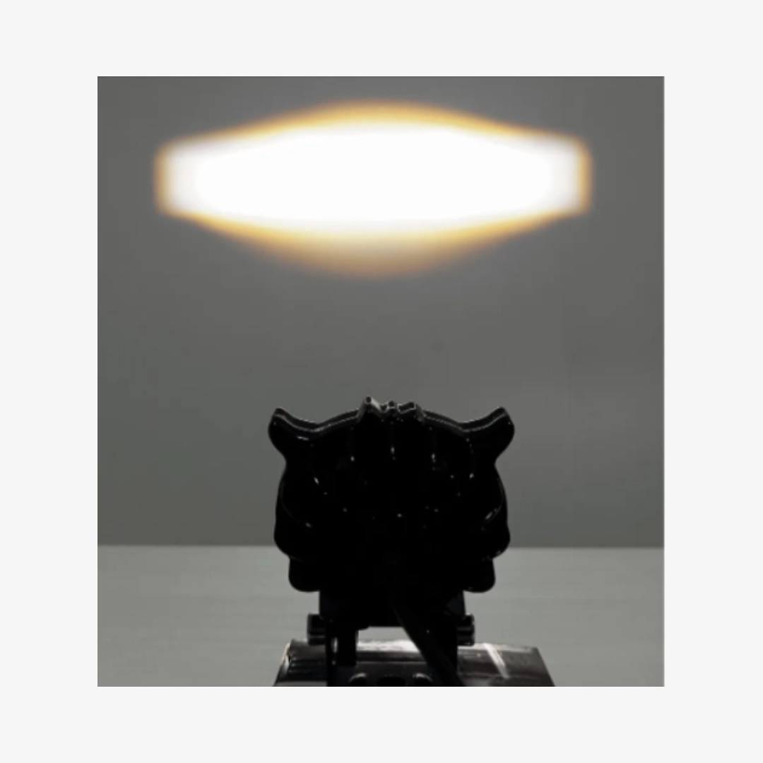 EXPLORADORA BÚHO BICOLOR - Imagen 3